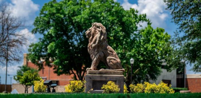 A lion statue on the campus of Texas A&M University-Commerce